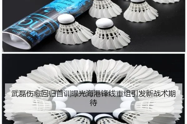 武磊伤愈回归首训曝光海港锋线重组引发新战术期待